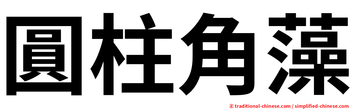 圓柱角藻