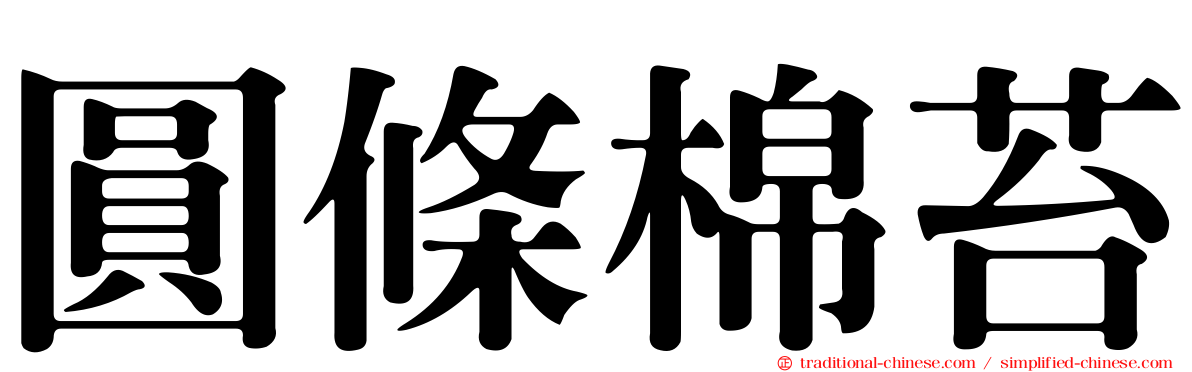 圓條棉苔