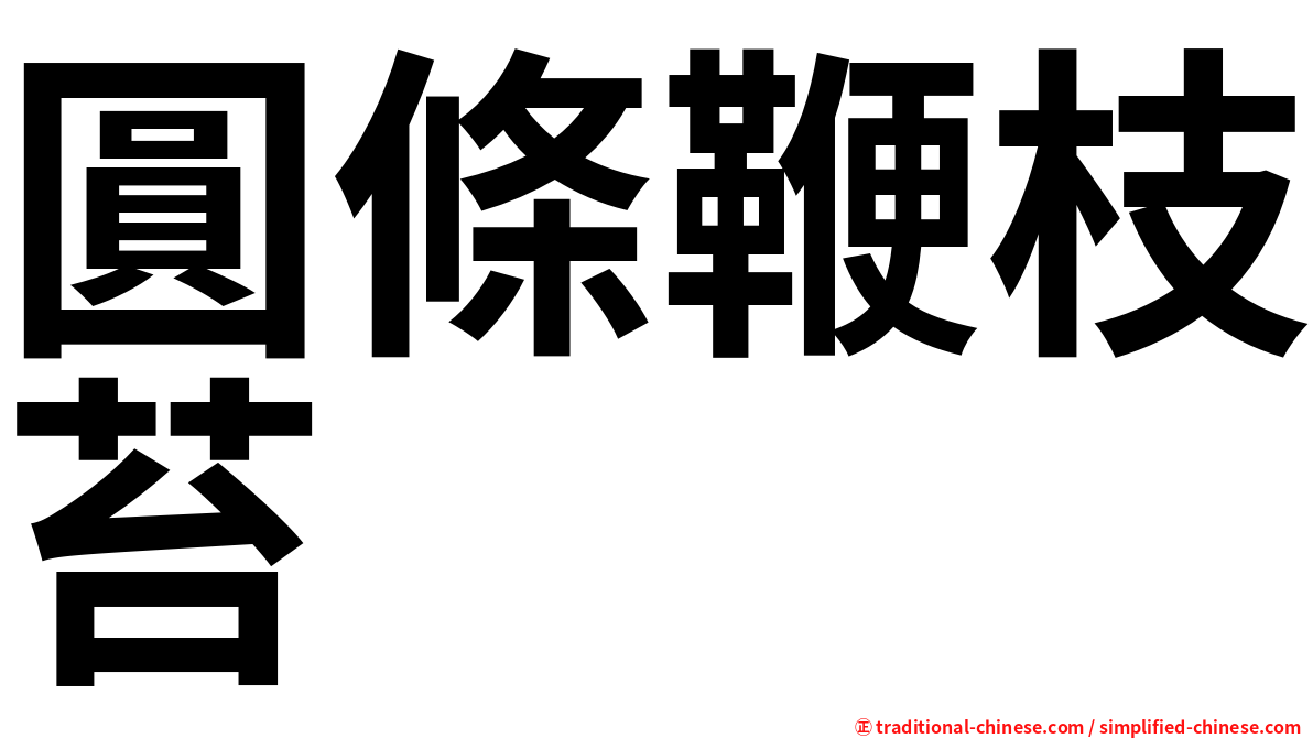 圓條鞭枝苔