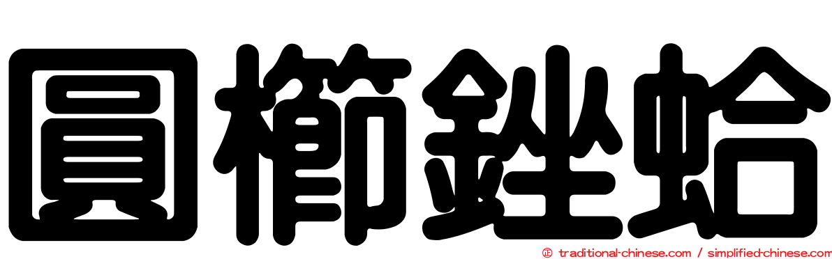 圓櫛銼蛤