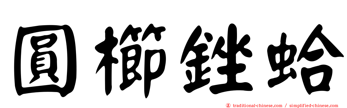 圓櫛銼蛤