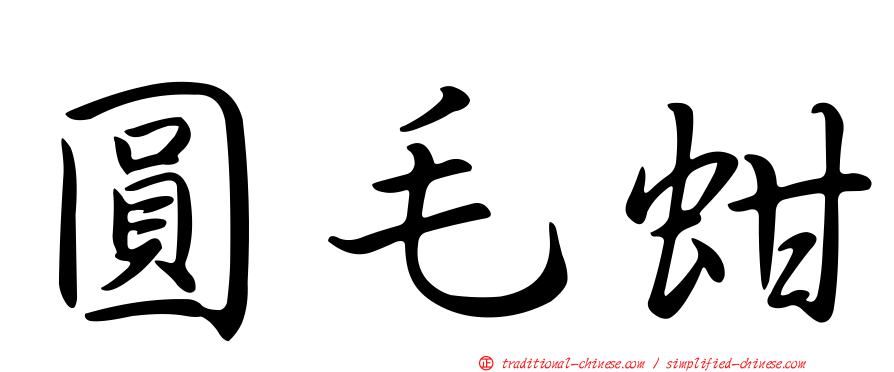 圓毛蚶