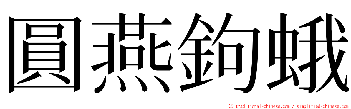 圓燕鉤蛾 ming font