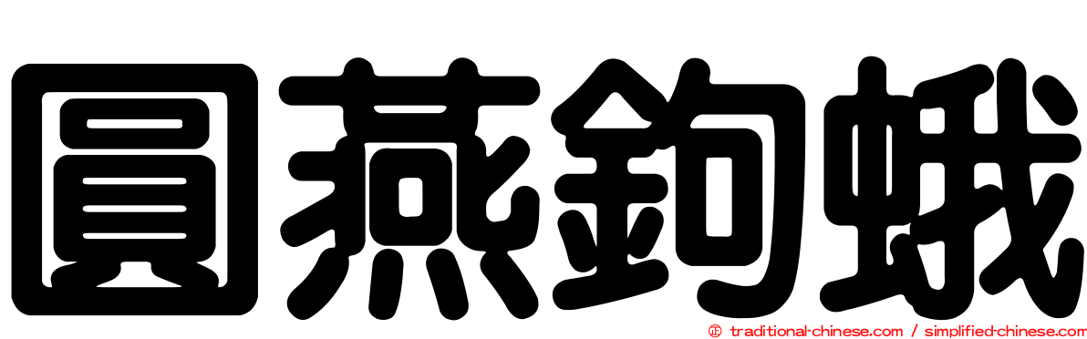 圓燕鉤蛾