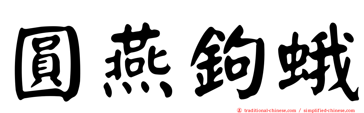 圓燕鉤蛾