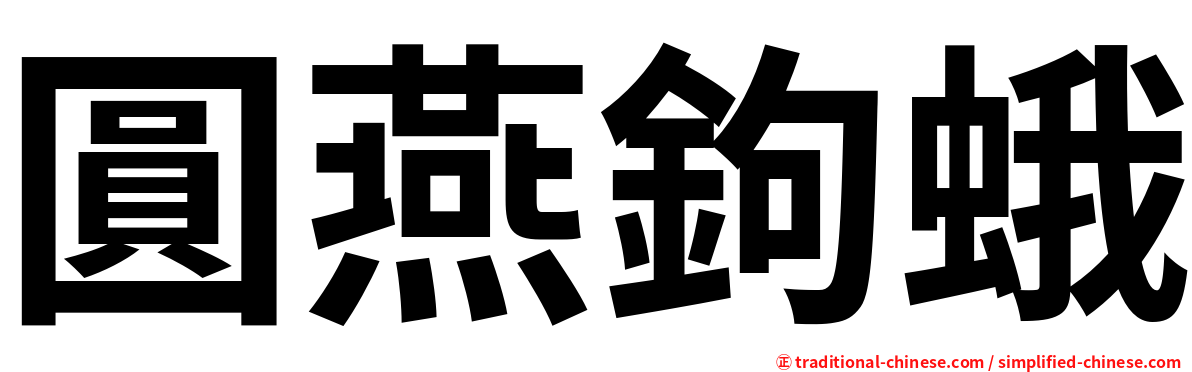 圓燕鉤蛾