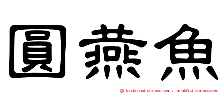 圓燕魚