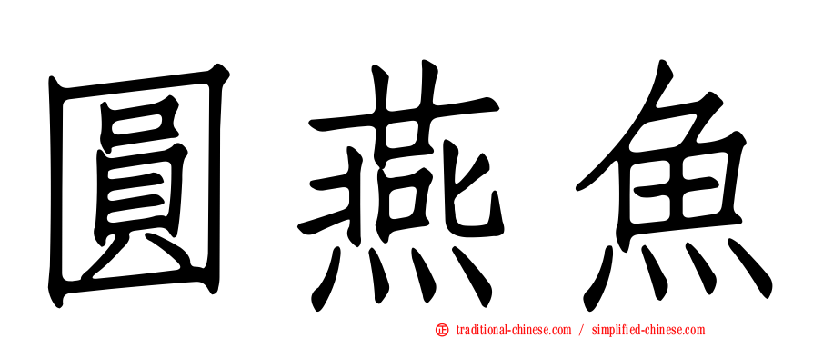 圓燕魚