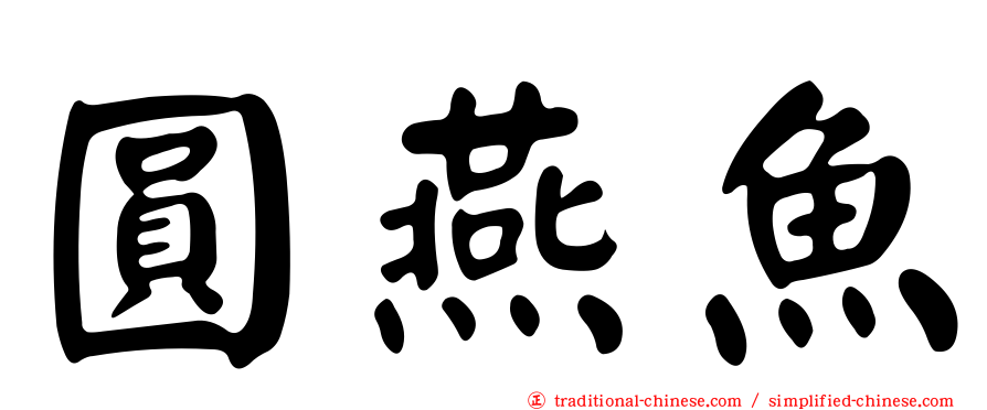 圓燕魚