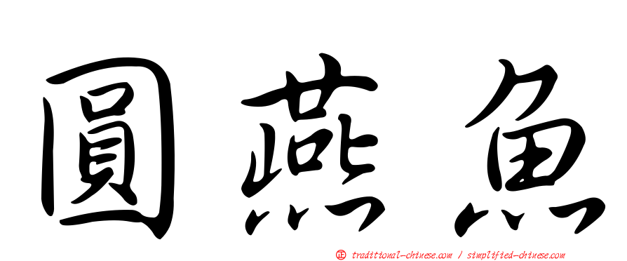 圓燕魚