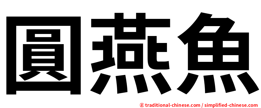 圓燕魚