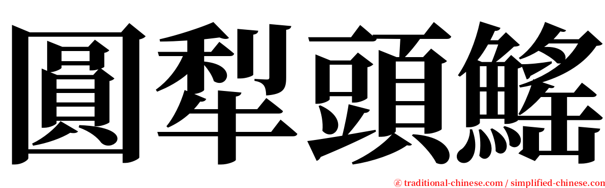 圓犁頭鰩 serif font