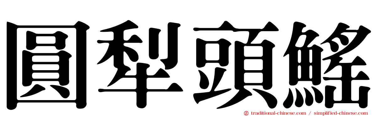 圓犁頭鰩