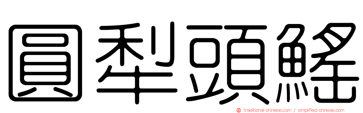 圓犁頭鰩