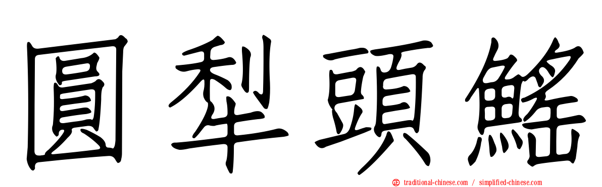 圓犁頭鰩
