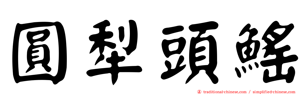 圓犁頭鰩