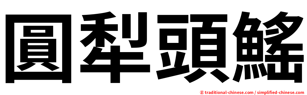 圓犁頭鰩