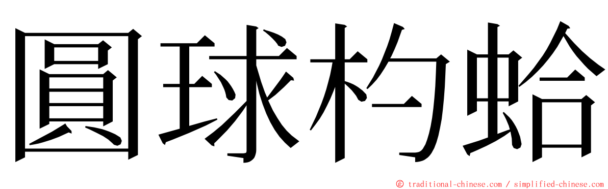 圓球杓蛤 ming font
