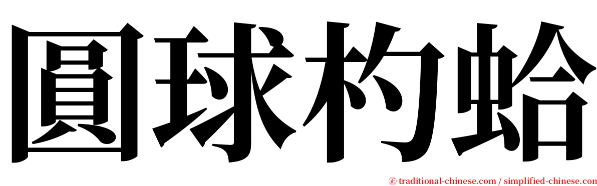圓球杓蛤 serif font