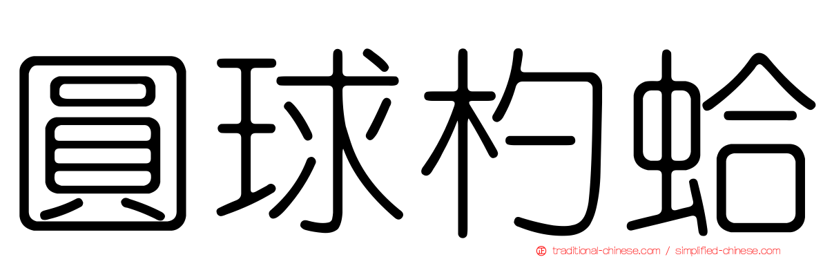 圓球杓蛤