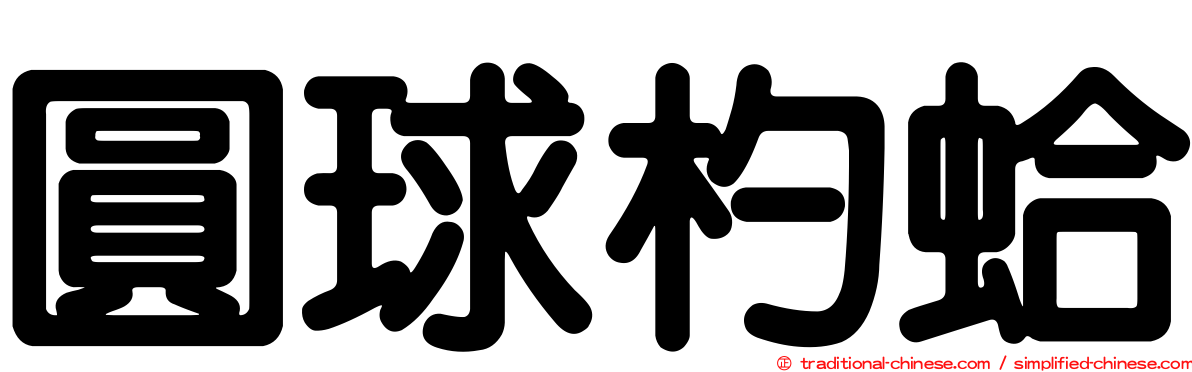 圓球杓蛤