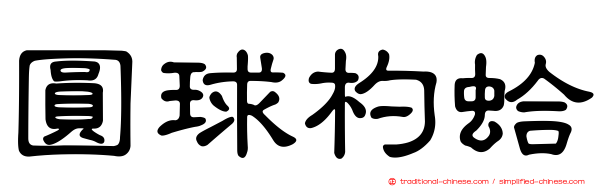 圓球杓蛤