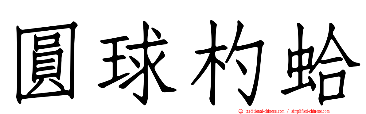 圓球杓蛤