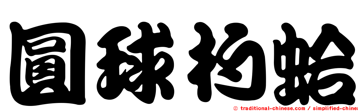 圓球杓蛤