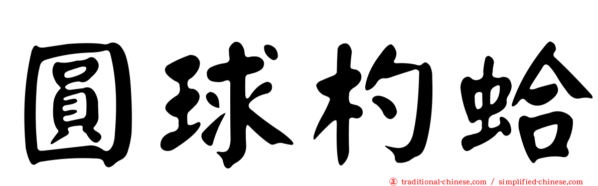 圓球杓蛤