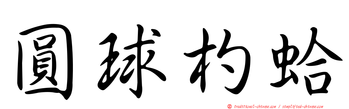 圓球杓蛤