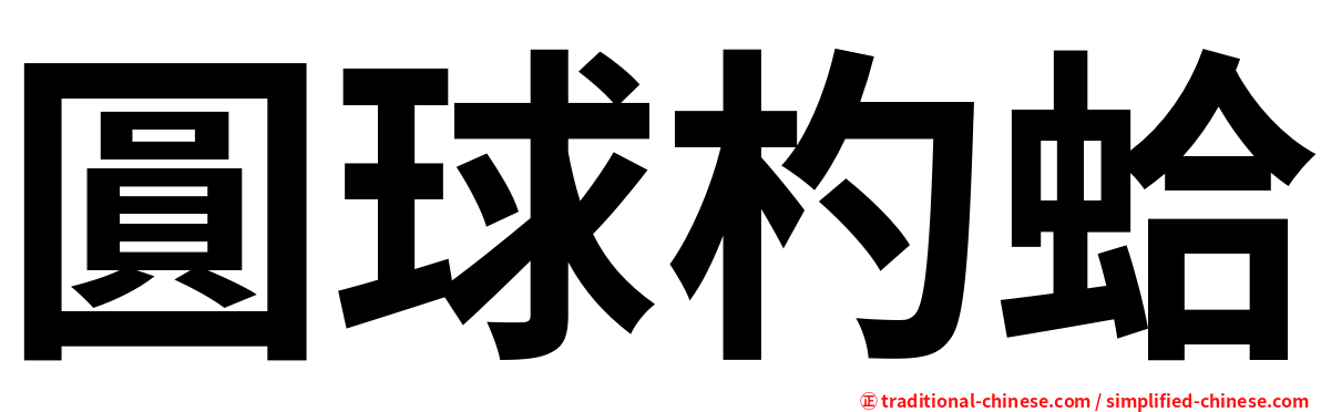 圓球杓蛤