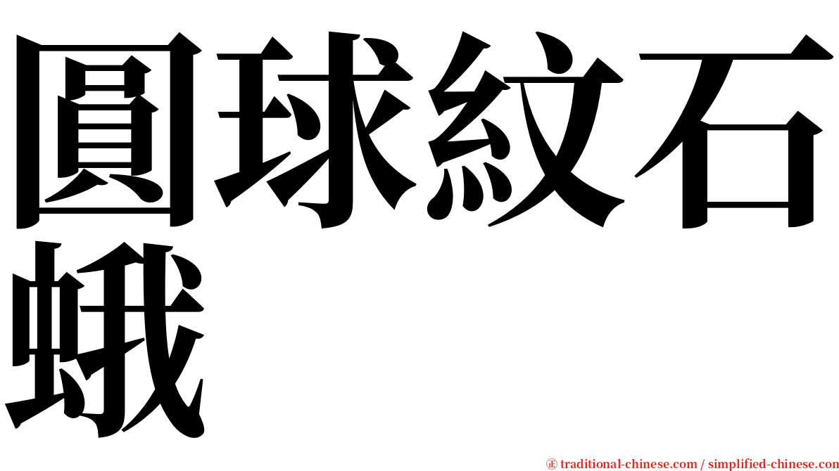 圓球紋石蛾 serif font