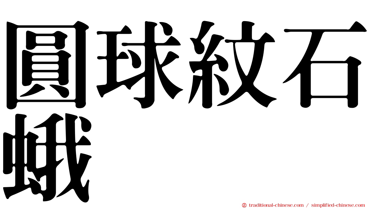 圓球紋石蛾