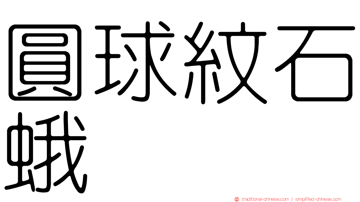 圓球紋石蛾