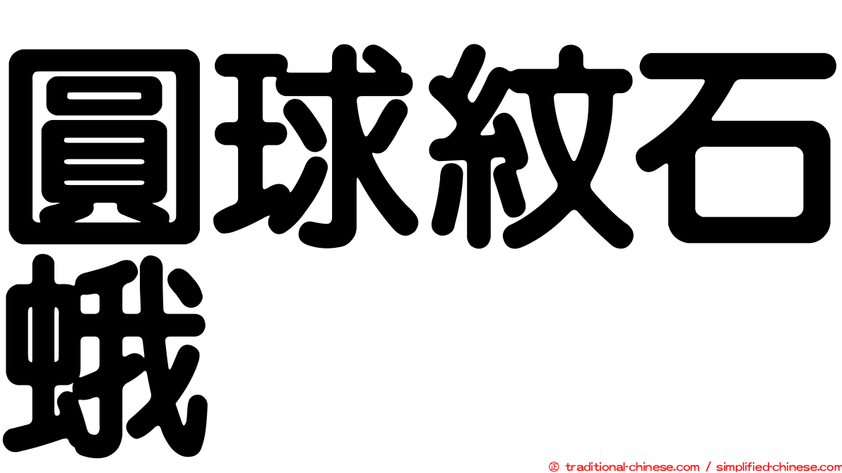 圓球紋石蛾