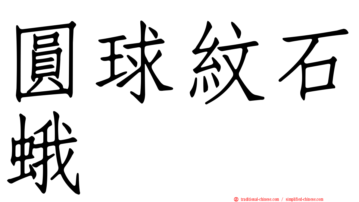 圓球紋石蛾