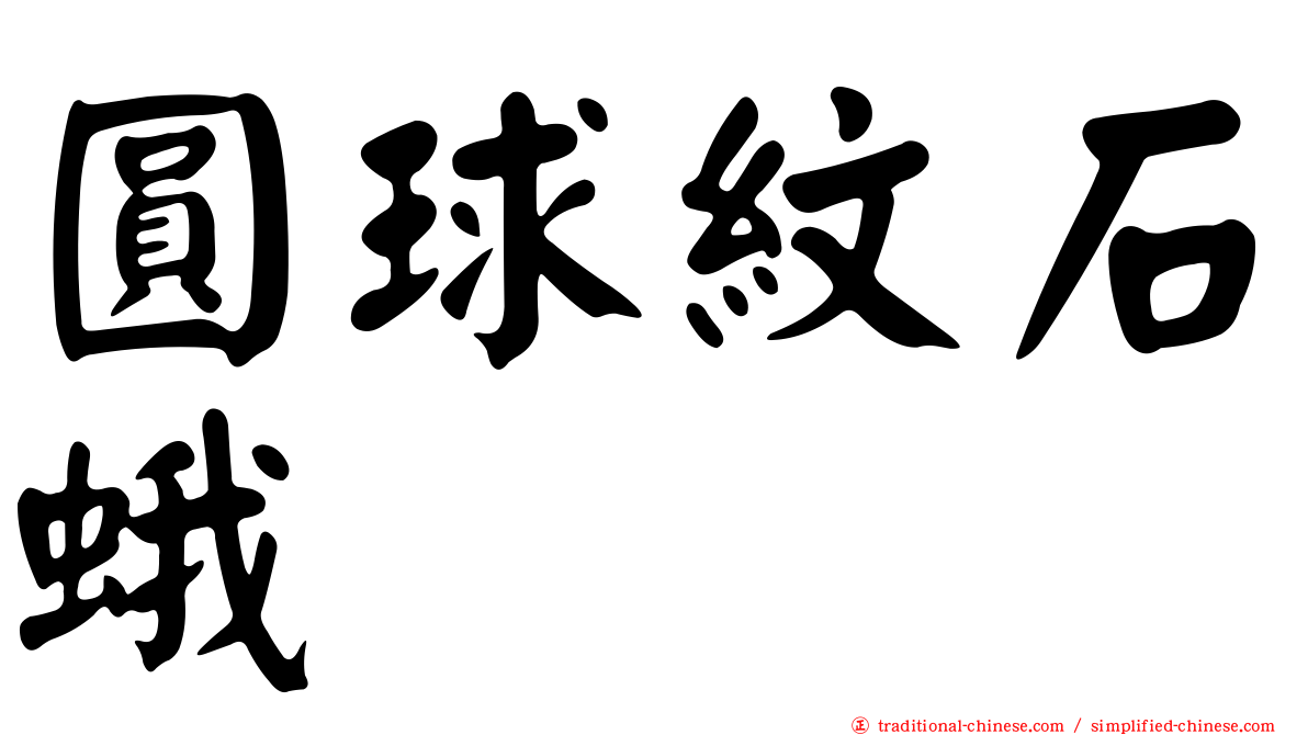 圓球紋石蛾