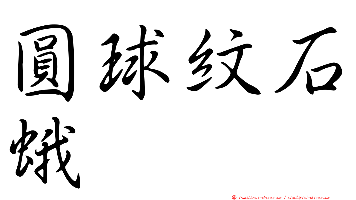 圓球紋石蛾