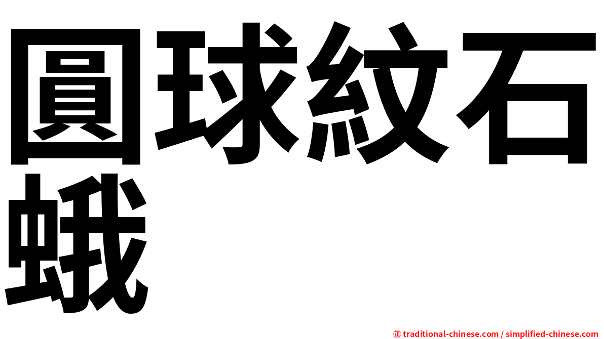 圓球紋石蛾