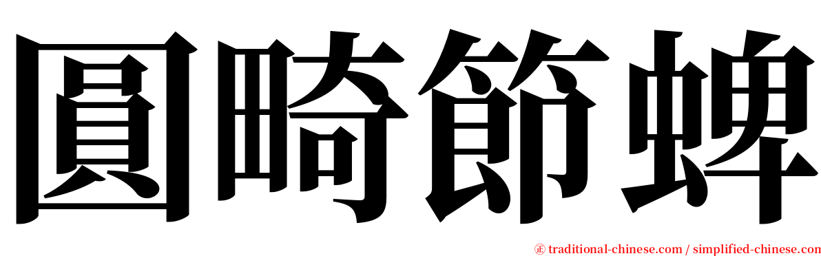 圓畸節蜱 serif font