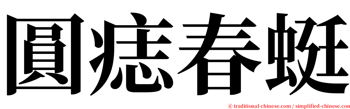 圓痣春蜓 serif font