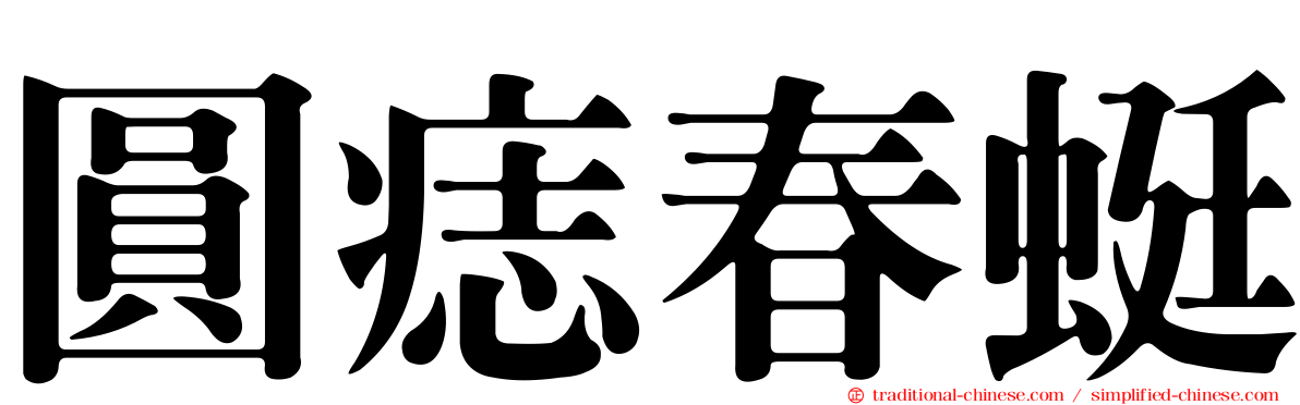 圓痣春蜓