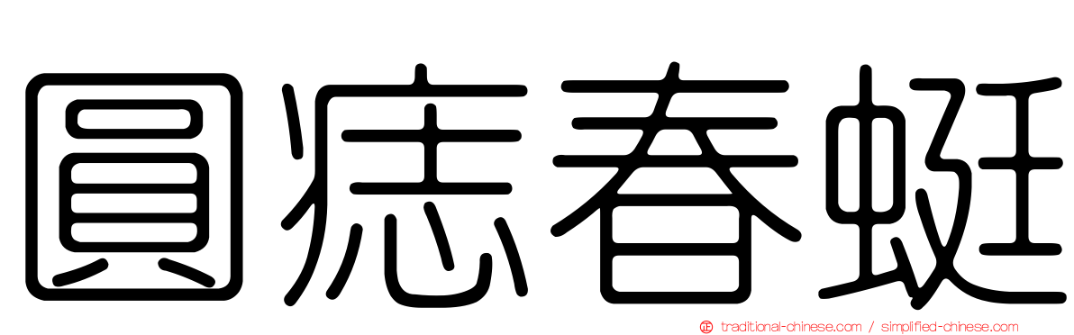 圓痣春蜓