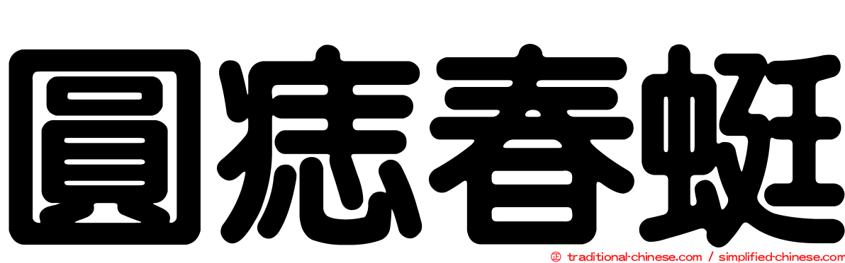 圓痣春蜓