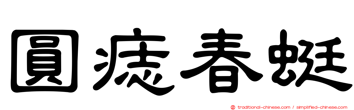 圓痣春蜓