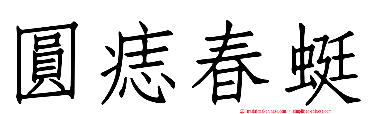圓痣春蜓