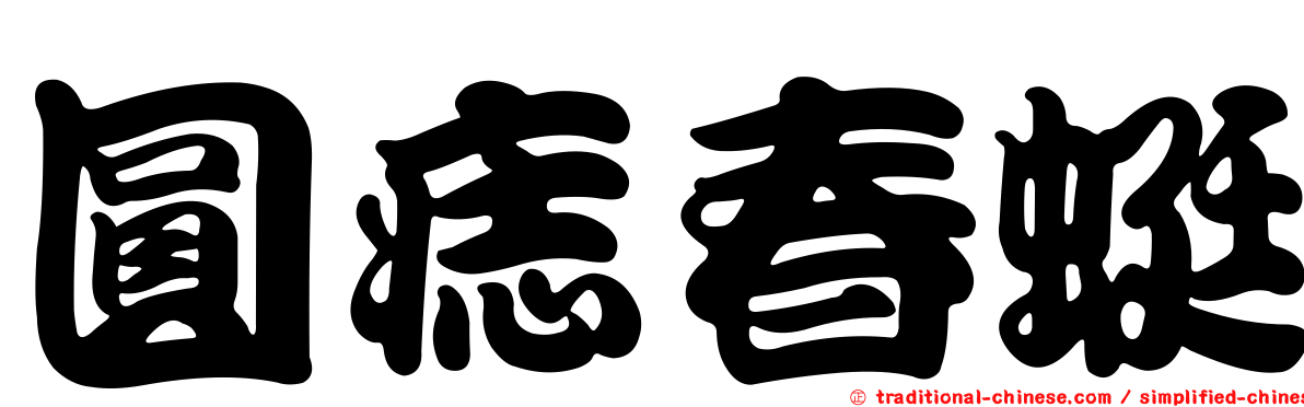 圓痣春蜓