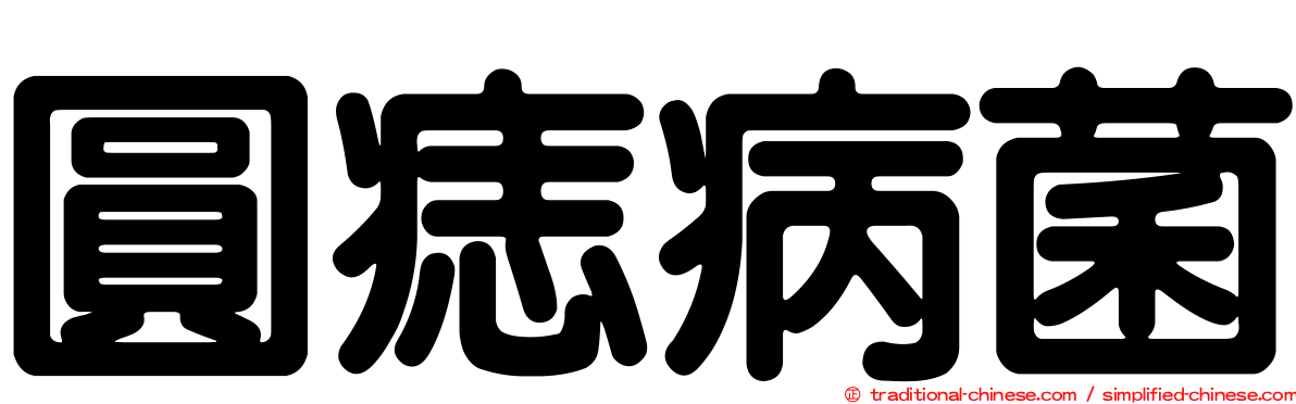 圓痣病菌