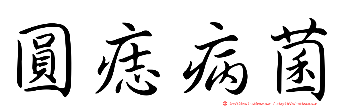 圓痣病菌
