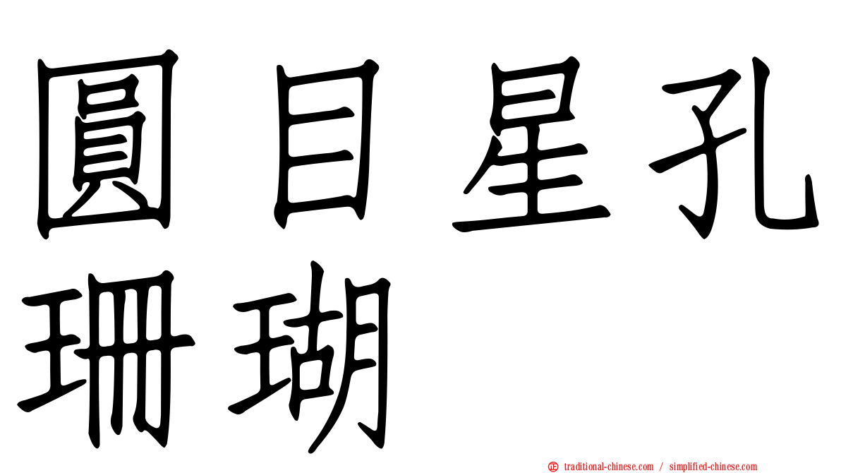 圓目星孔珊瑚